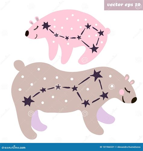 Ursa Major And Ursa Minor