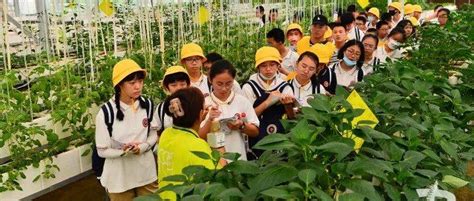 重庆市主城小学排名前100名(重庆主城最好的小学学校排名一览表)-海诗网