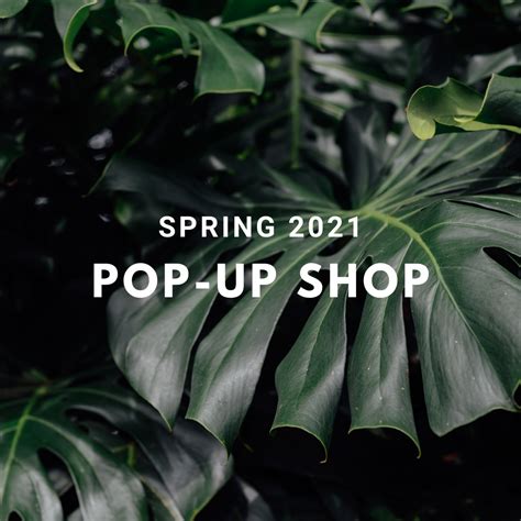 Click Spring Shop Tour 的图像结果