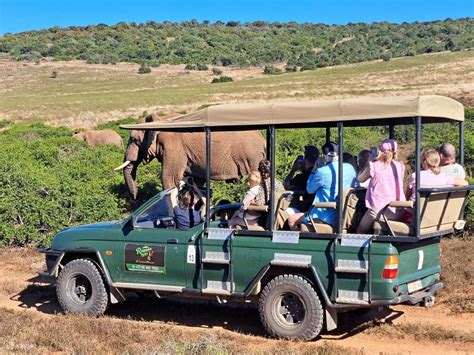 Visit Port Elizabeth: Schotia Private Game Reserve - Klook India