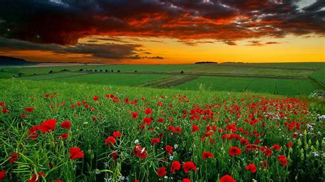 Best 3D Nature Wallpapers - Top Free Best 3D Nature Backgrounds - WallpaperAccess