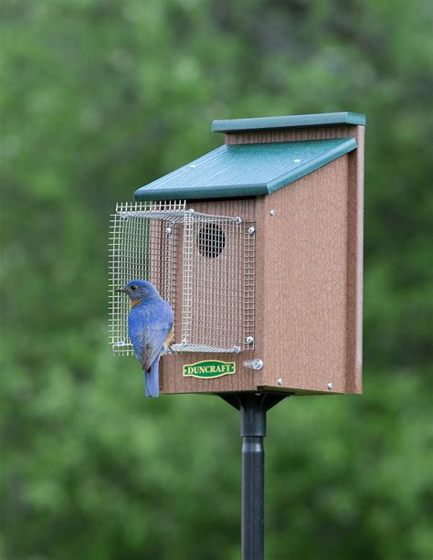 Bluebird House with Pole & Noel Guard | Predator-Proof Birdhouse | USA ...