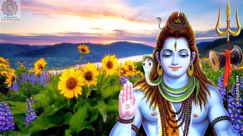 Lord Shiva Maha Shivaratri Meditation Samadhi Wallpapers Images & Photos