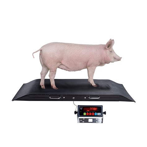 Buy PEC Portable Scale for Small Animal Medium Livestock, 2000 lb ...