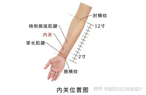 十二经脉：手厥阴心包经和手少阳三焦经（26／5） - 知乎