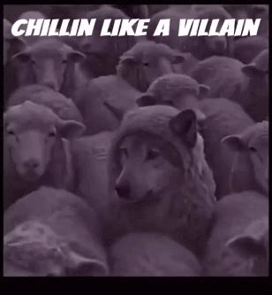 chill | Free Animated GIFs Download