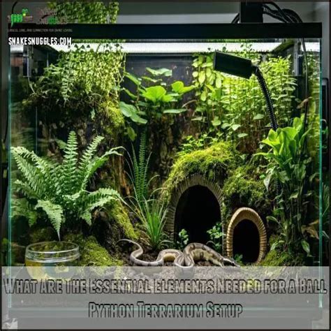 Ball Python Terrarium Setup 的图像结果
