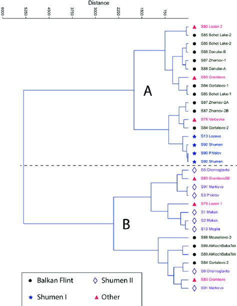 Image result for Dendrogram Examples