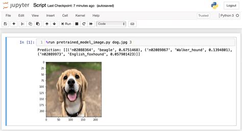 Image result for Script Meaning in Python