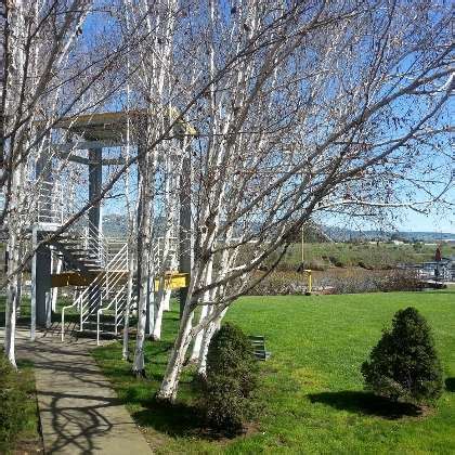 Stonecrop Technologies Office Photos