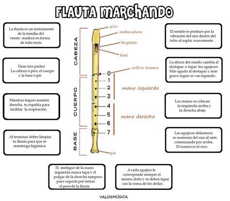 Image result for Tutorial Como Tocar Flauta