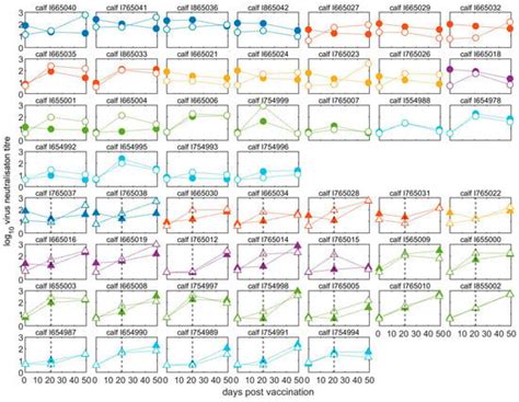 Maternally Derived Antibodies to Foot-and-Mouth Disease Virus Modulate ...