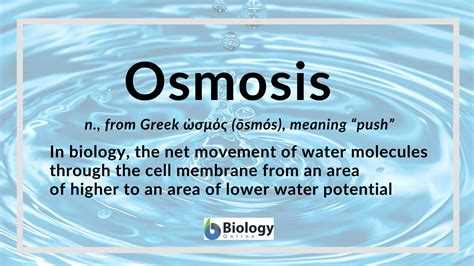 Osmosis - Definition and Examples - Biology Online Dictionary