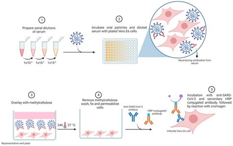 An Overview of the Conventional and Novel Methods Employed for SARS-CoV ...