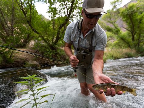 HOLIDAY RIVER EXPEDITIONS - UTAH RIVER RAFTING (Updated 2026) All You ...