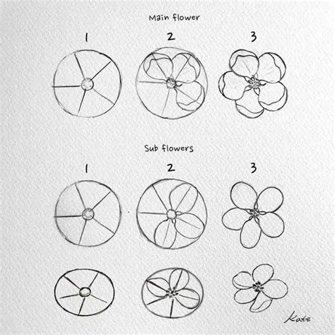 Image result for How to Draw Inflorescences