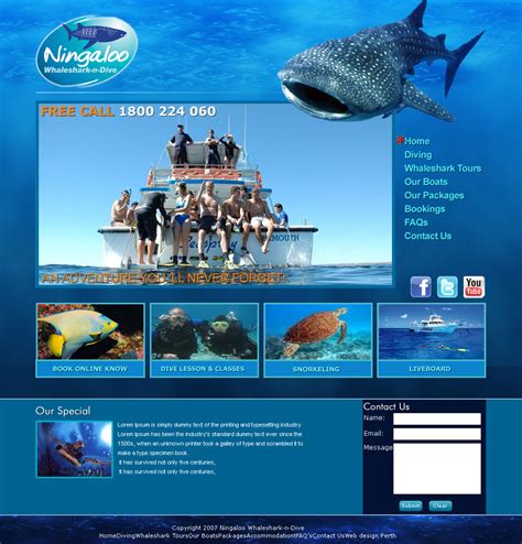 Image result for Examples of Creative Web Design for a Path