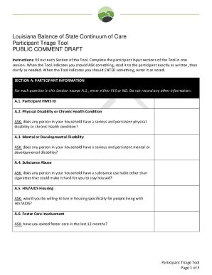 Fillable Online Louisiana Balance of State Continuum of Care ...