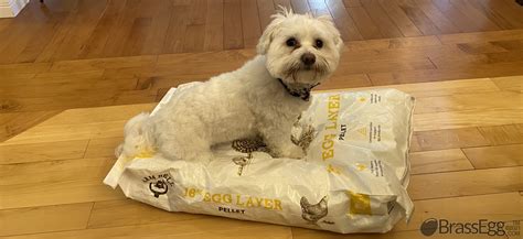 Image result for Reusing Styrofoam