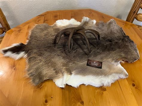 Whitetail Tanned Deer Hide Rug. Great Addition to Your Rustic Decor. - Etsy