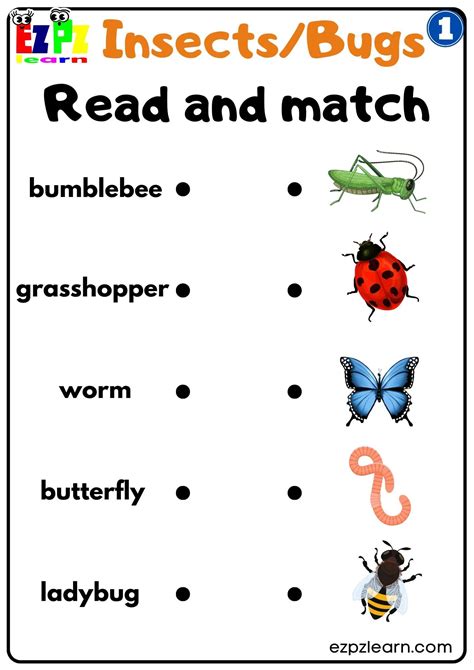 Group 1 Insects and Bugs Read and Match Worksheet Free PDF ...
