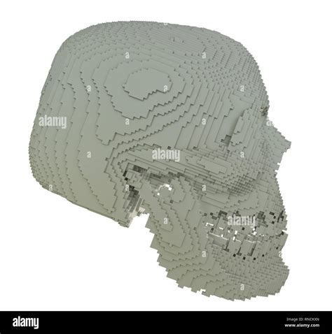 3d printed skull isolated Stock Photo - Alamy