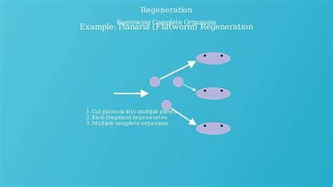 Cloning Reproduction 的图像结果