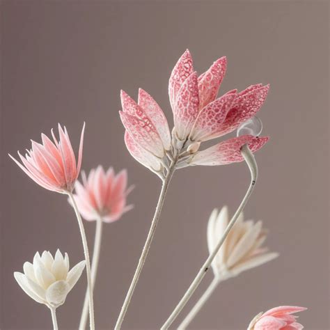 Selective Empathy → Term