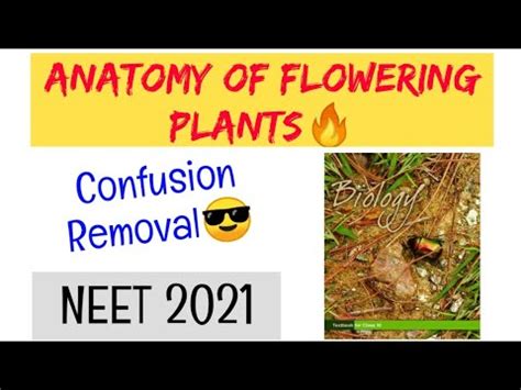 Short Tricks: Anatomy of Flowering Plants Video Lecture - Biology Class ...