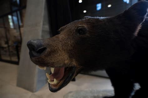 Deukmejian Wilderness Park | City of Glendale, CA