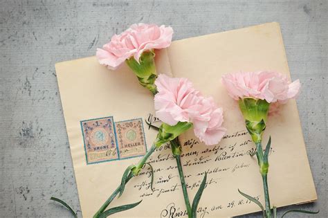 Law Web: Whether addressee not collecting envelope on intimation ...