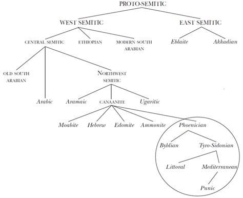 Proto-Human Language 的图像结果