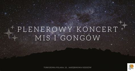 Plenerowy koncert mis i gongów - Noc spadających gwiazd, Turkusowa ...