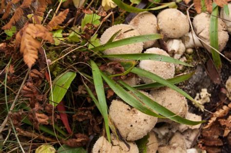 Image result for Exploring Life