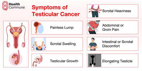 Late Stage Testicular Cancer Symptoms