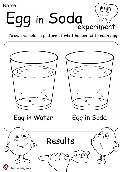 Image result for Math Shell