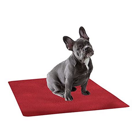 Amazon.in Bestsellers: The most popular items in Reusable Dog Training Pads