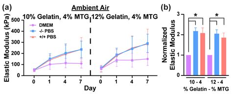 Characterization of Gelatin Hydrogels Cross-Linked with Microbial ...
