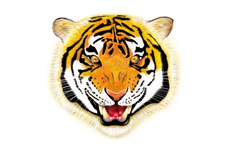 Image result for Custom CSS File