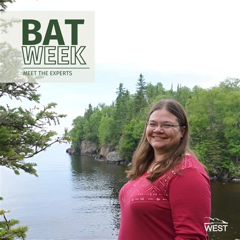 Home - Western EcoSystems Technology, Inc.