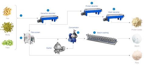 Plant-based protein and vegetable processing systems | Alfa Laval