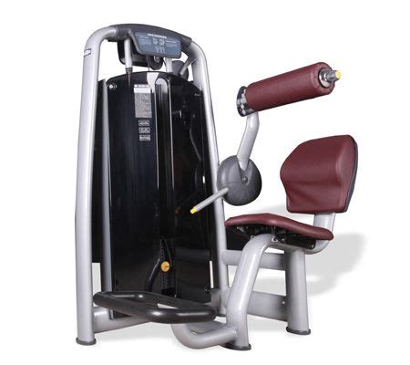 Image result for Lower Back Exercise Machine