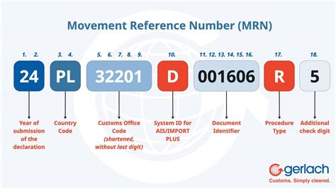 AIS/IMPORT PLUS – EU Customs System Update in 2025