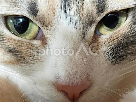 Image result for Verilog Module Scructure