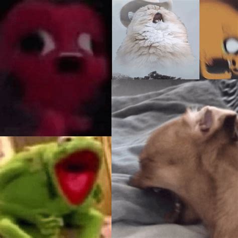 HE LEFT ME ON READ : r/BPDmemes