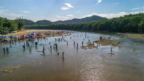 广州夏日亲子玩水好去处，河边抓虾，摸鱼、踩水，太好玩了_腾讯新闻