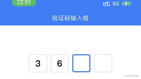Enter the 4 Digit Code Sent 的图像结果