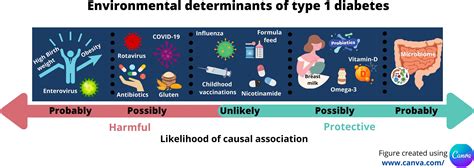 Frontiers | Environmental Determinants of Type 1 Diabetes: From Association to Proving Causality
