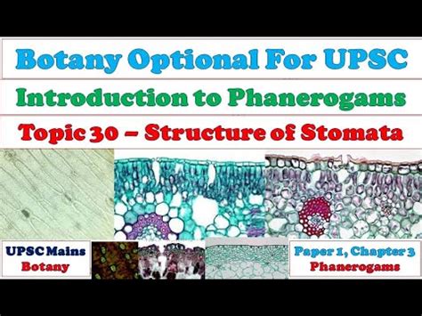 Structure of Stomata Video Lecture - Botany Optional for UPSC