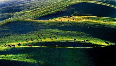 乌蒙深处最新素材